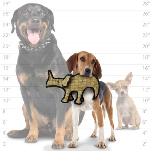 Tuffy Jr Dinosaur Moosasaurus