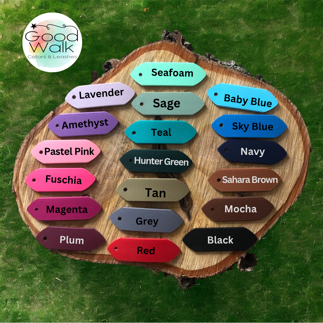 Traffic Lead for Dogs | 8" | BioThane | Waterproof