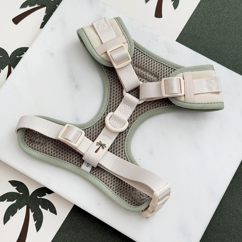 Cocopup London Palm Springs Adjustable Dog Harness