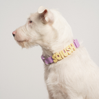 Springland Pets Silicone Dog Collar Charm