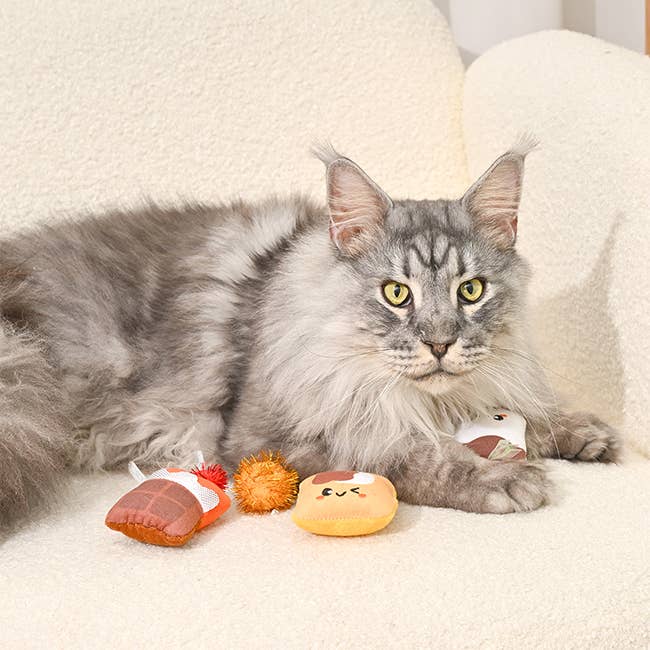 Camping Claws  | Cat S'mores - Cat Toy