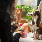 Duck & Cranberry Soft Dog Treats: Chewy & All-Natural