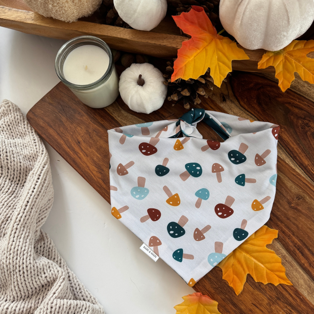 Bark & Main - Woodland Mushroom Dog Bandana
