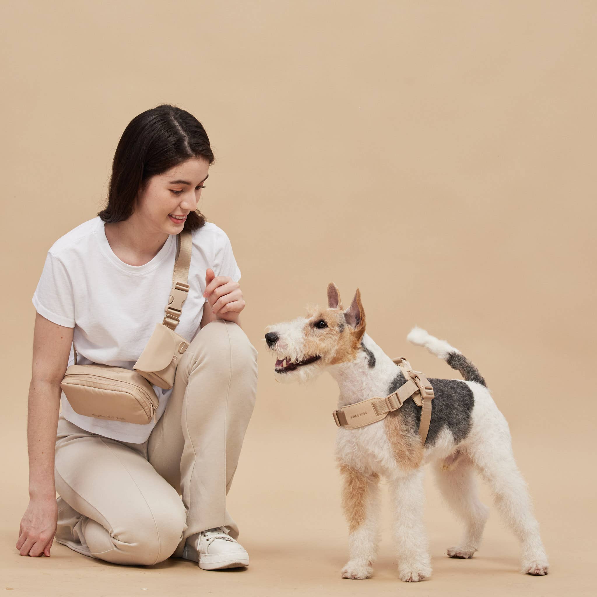 Rover Harness – Sand