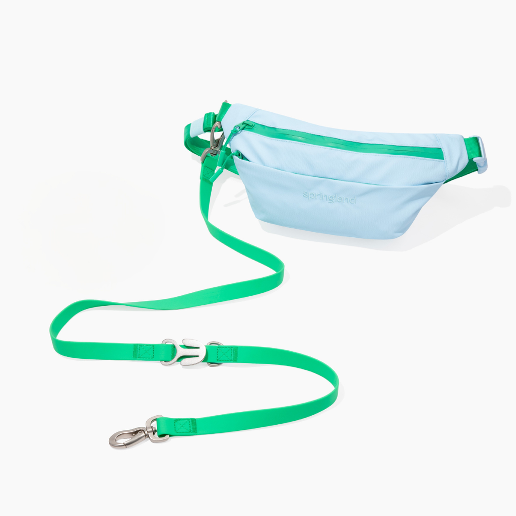 Hands-Free Dog Walking Bag WITH Leash