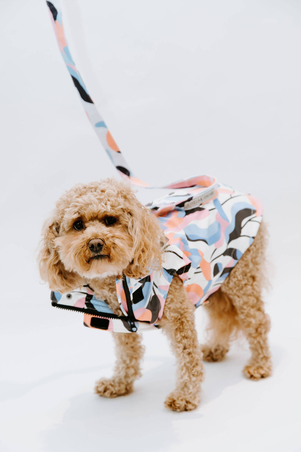 Stella & Oscar Leaf Dog Rain Jacket