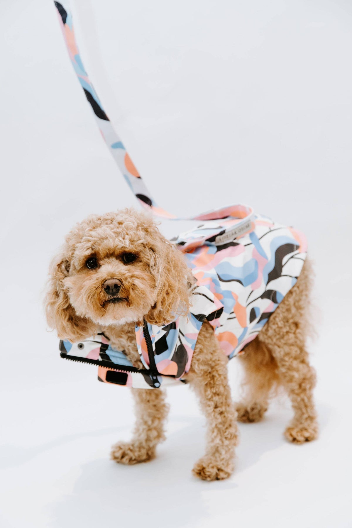 Stella & Oscar Leaf Dog Rain Jacket