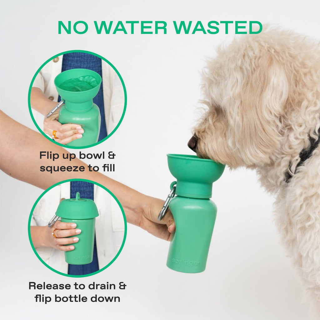 Springland Pets Flip Dog Travel Water Bottle – 20oz