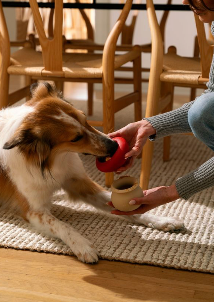 SmartyPaws Tumbler - Mushroom - Interactive dog toy