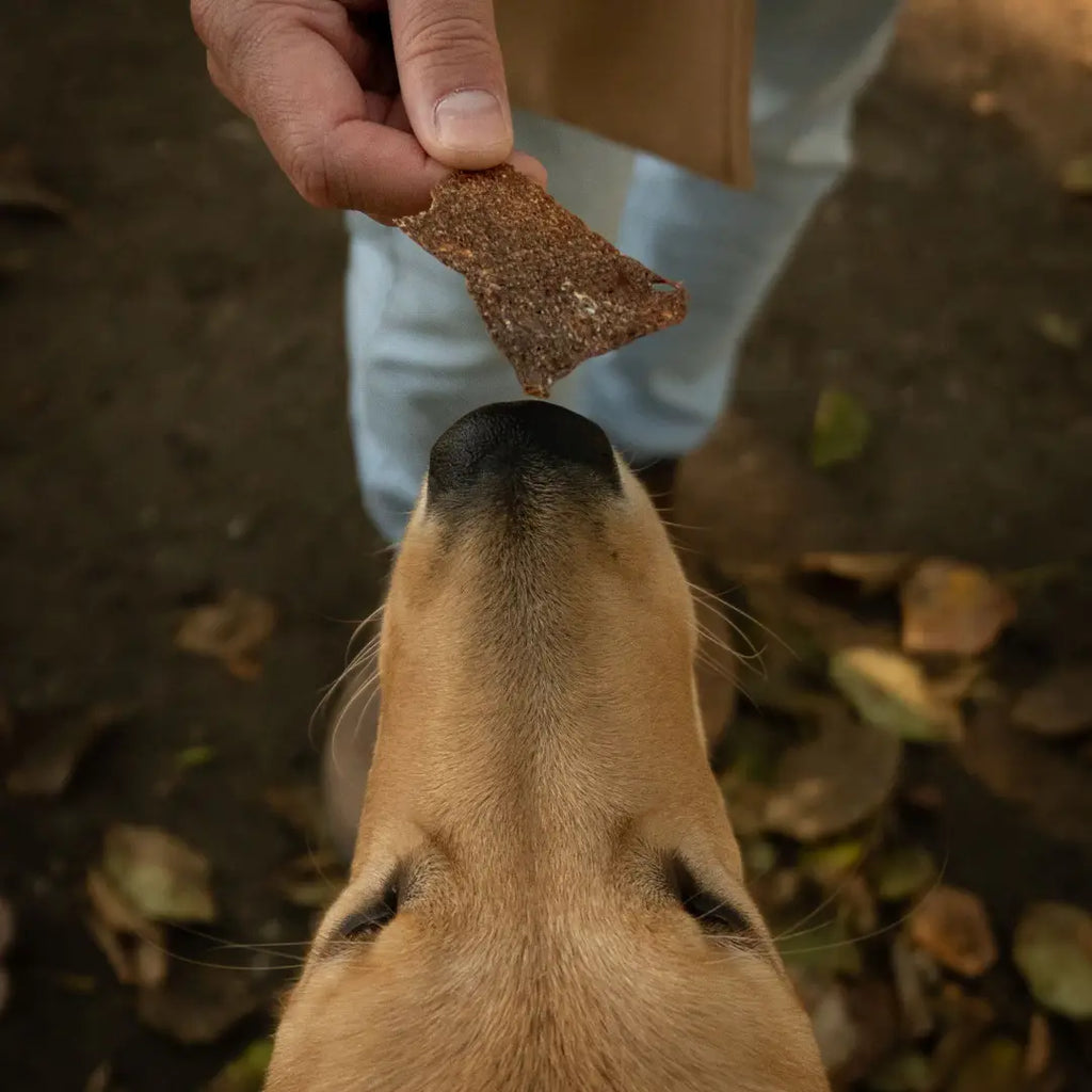 Rawbone Premium Beef Liver Krisps – 75 g