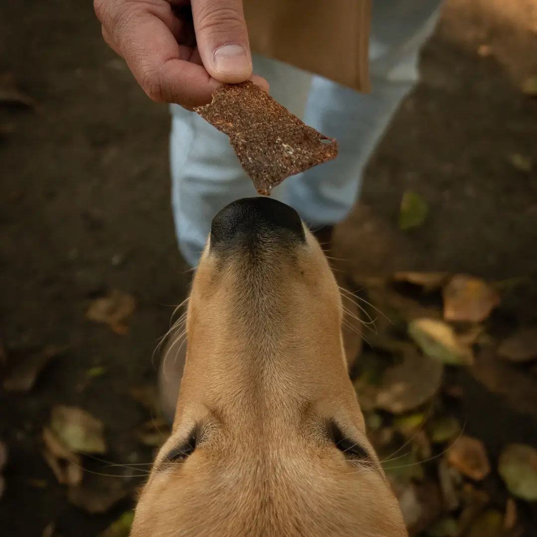 Rawbone Premium Beef Liver Krisps – 75 g