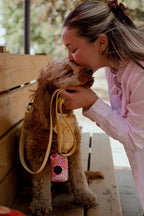 Classic 2.0 Harness Limoncello