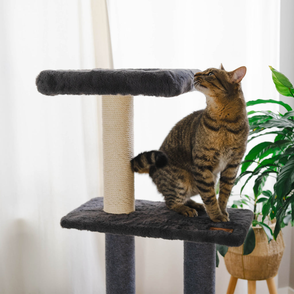 Noba Hut Hideout Deluxe 3-Level Cat Tree – Cat Head & Paw Style