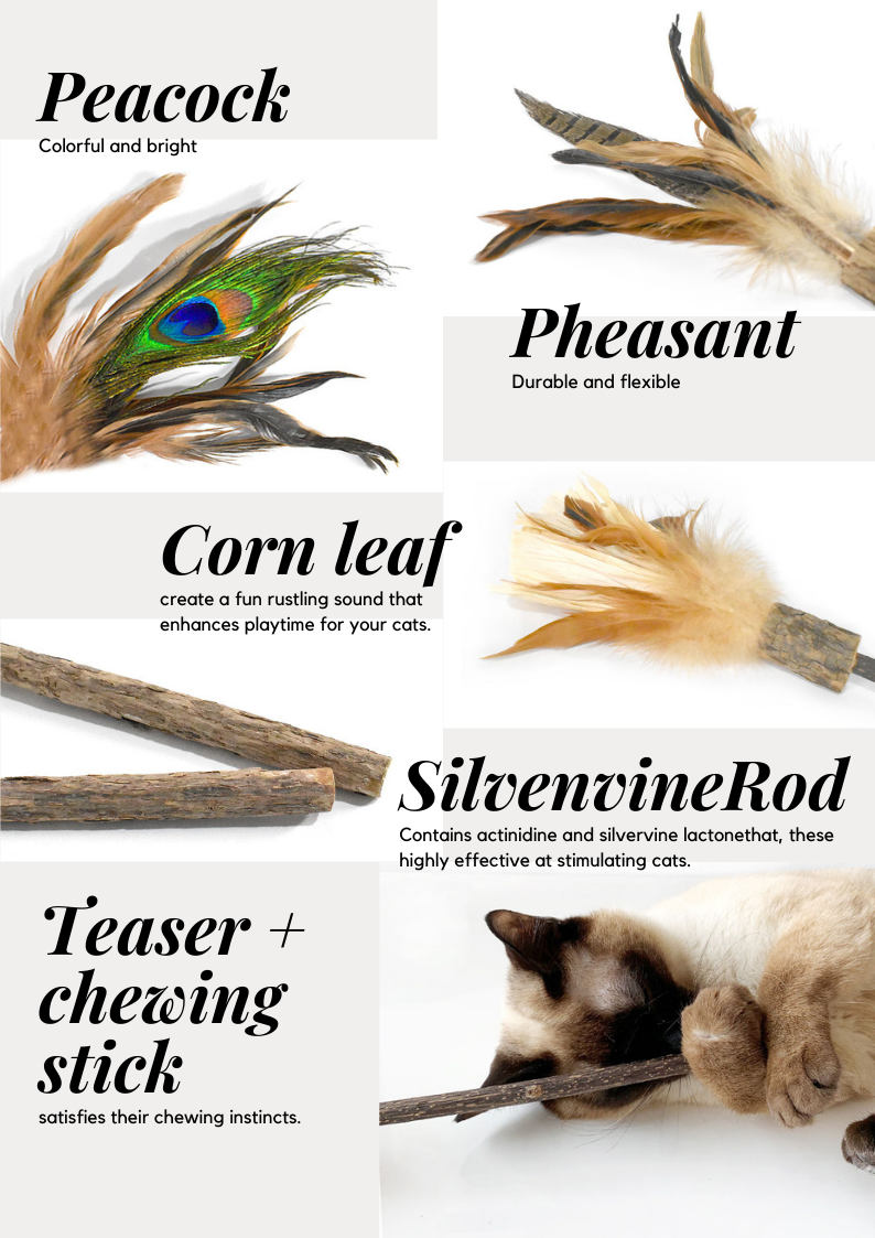 Silvervine Rod Replaceable Teaser Set - 2 Heads & 1 Rod