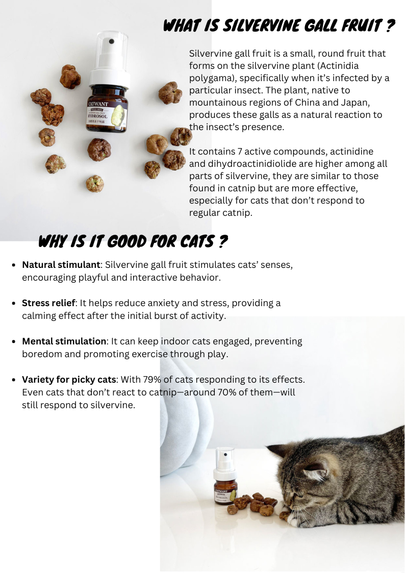 Silvervine Gall Fruit Hydrosol Spray for Cats – 35ml