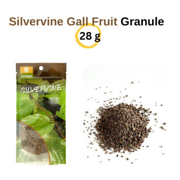 Silvervine Gall Fruit Powder