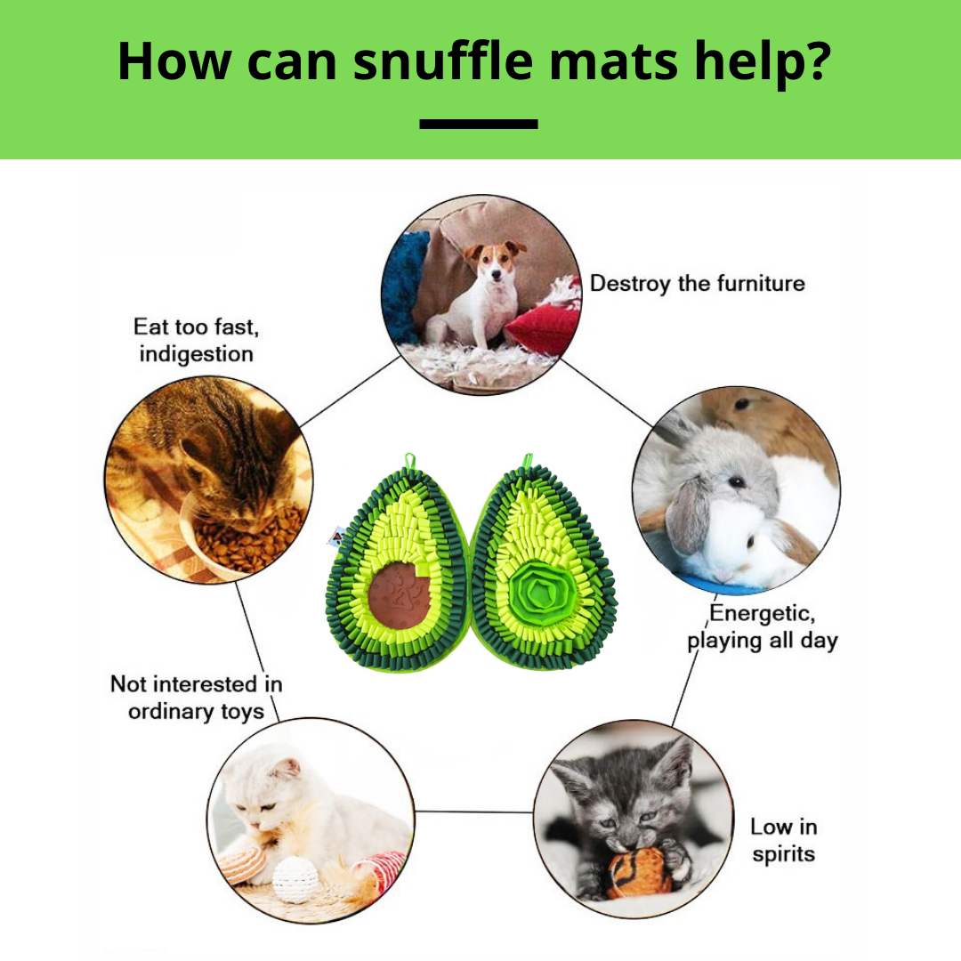 PawzNDogz Delicious Avocado™ AntiBite Snuffle Mat