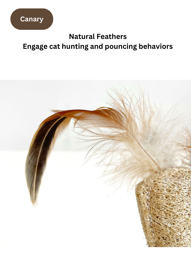 Silvervine Tumbler Cat Toy – Panda & Canary