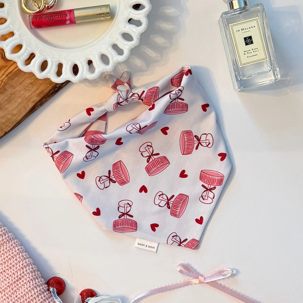 Bark & Main - Champagne and Squiggles