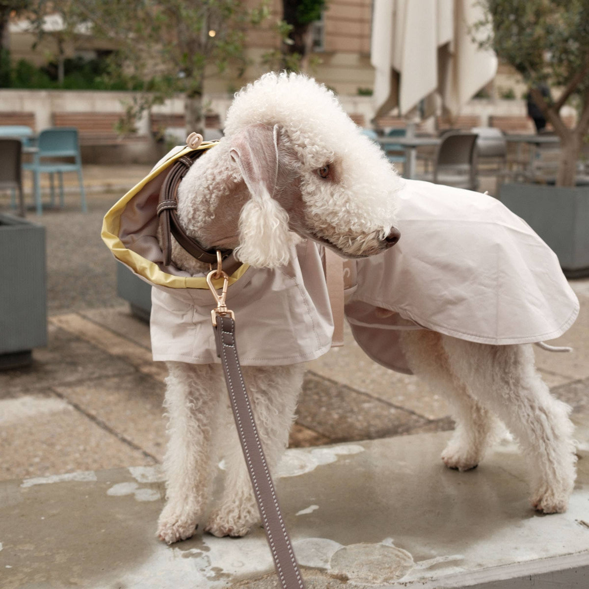 Pups & Bubs Lumi Raincoat for Dogs