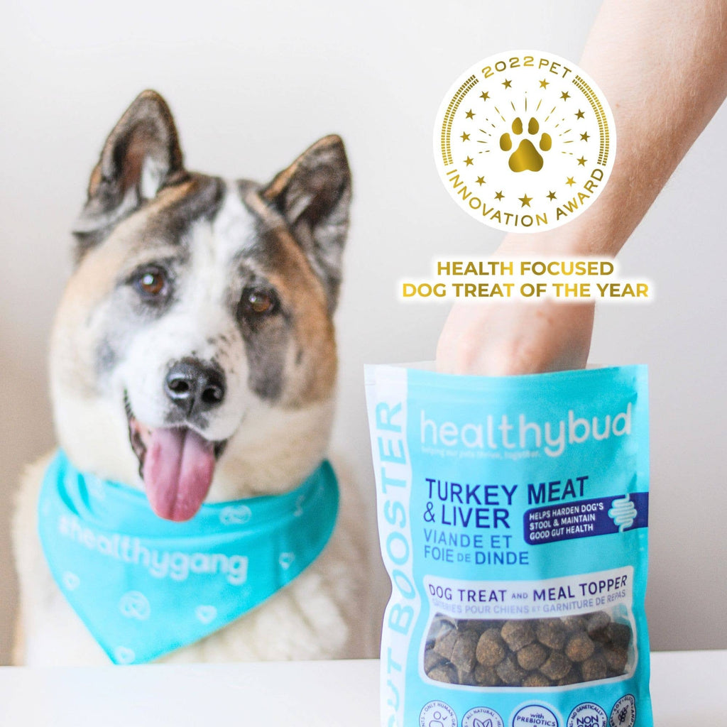 Turkey Gut Booster Dog Treats