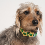 Springland Pets Silicone Dog Collar Charm