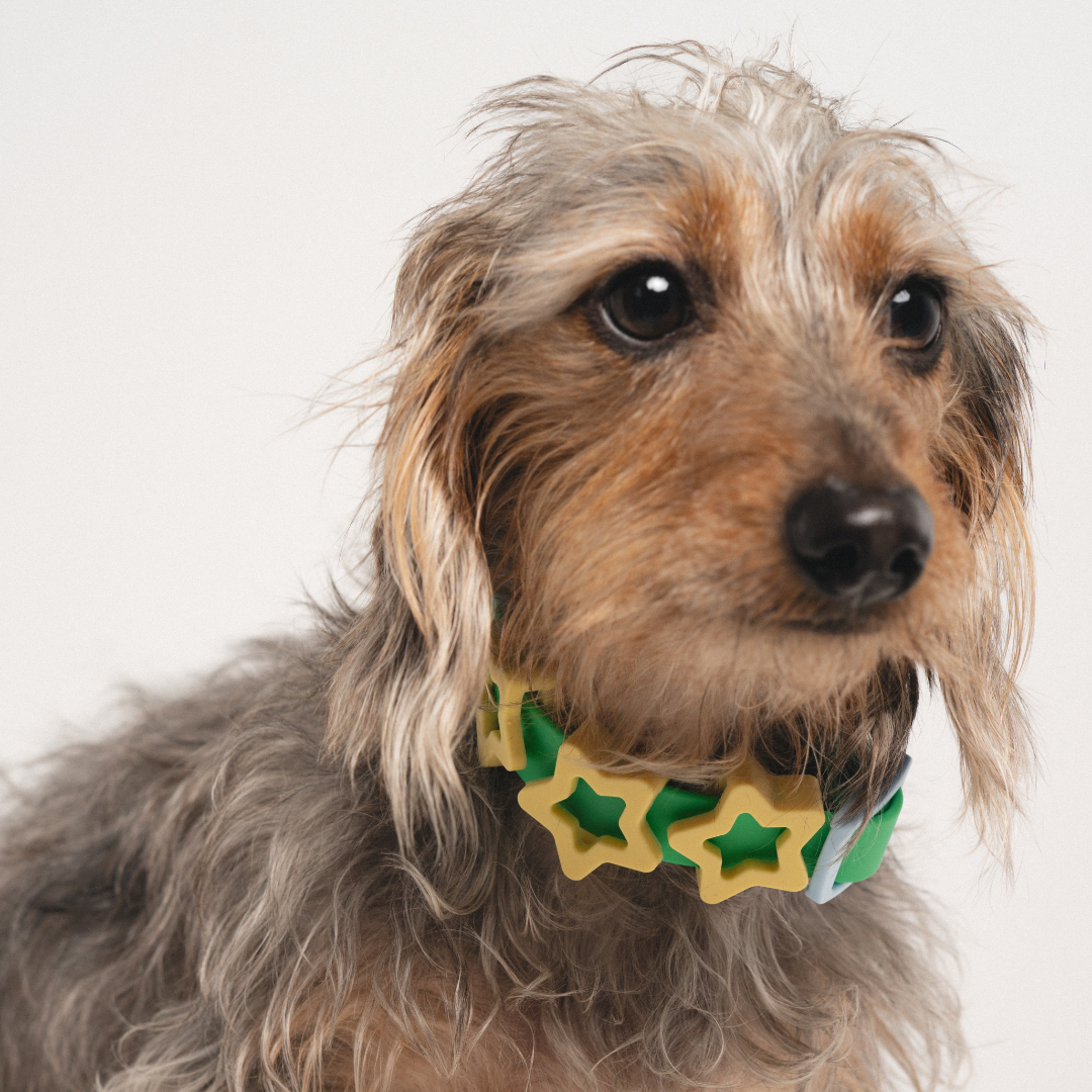 Springland Pets Silicone Dog Collar Charm