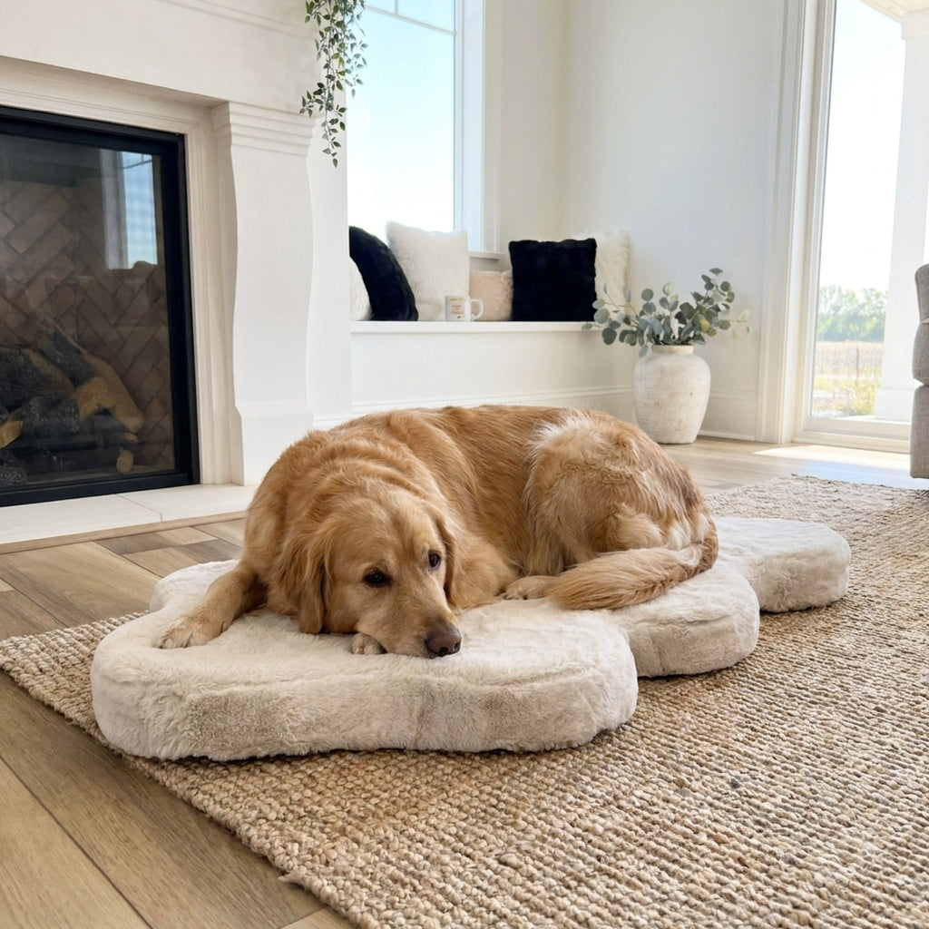 Hide Shape Leak-Resistant Dog Bed – Faux Fur, 5 Colours & 2 Sizes