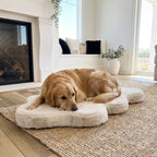 Hide Shape Leak-Resistant Dog Bed – Faux Fur, 5 Colours & 2 Sizes