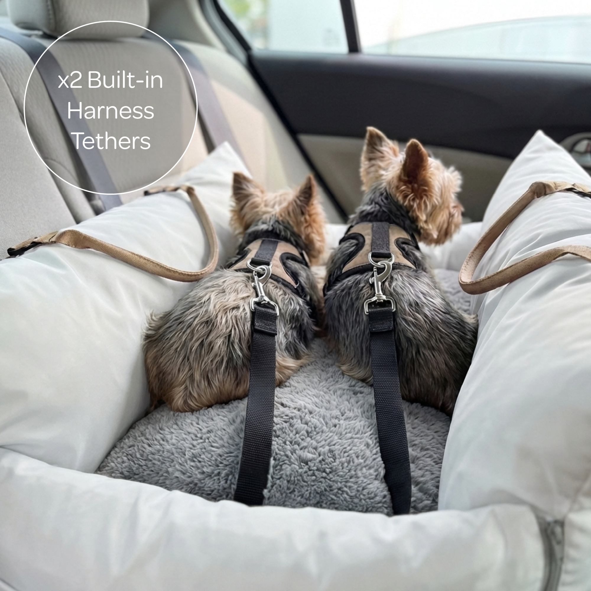 Marco Travel Pet Bed – Single & Double Seater, 4 Colours