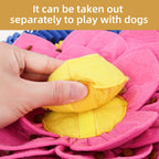 PawzNDogz Divine Lotus™ AntiBite Snuffle Mat