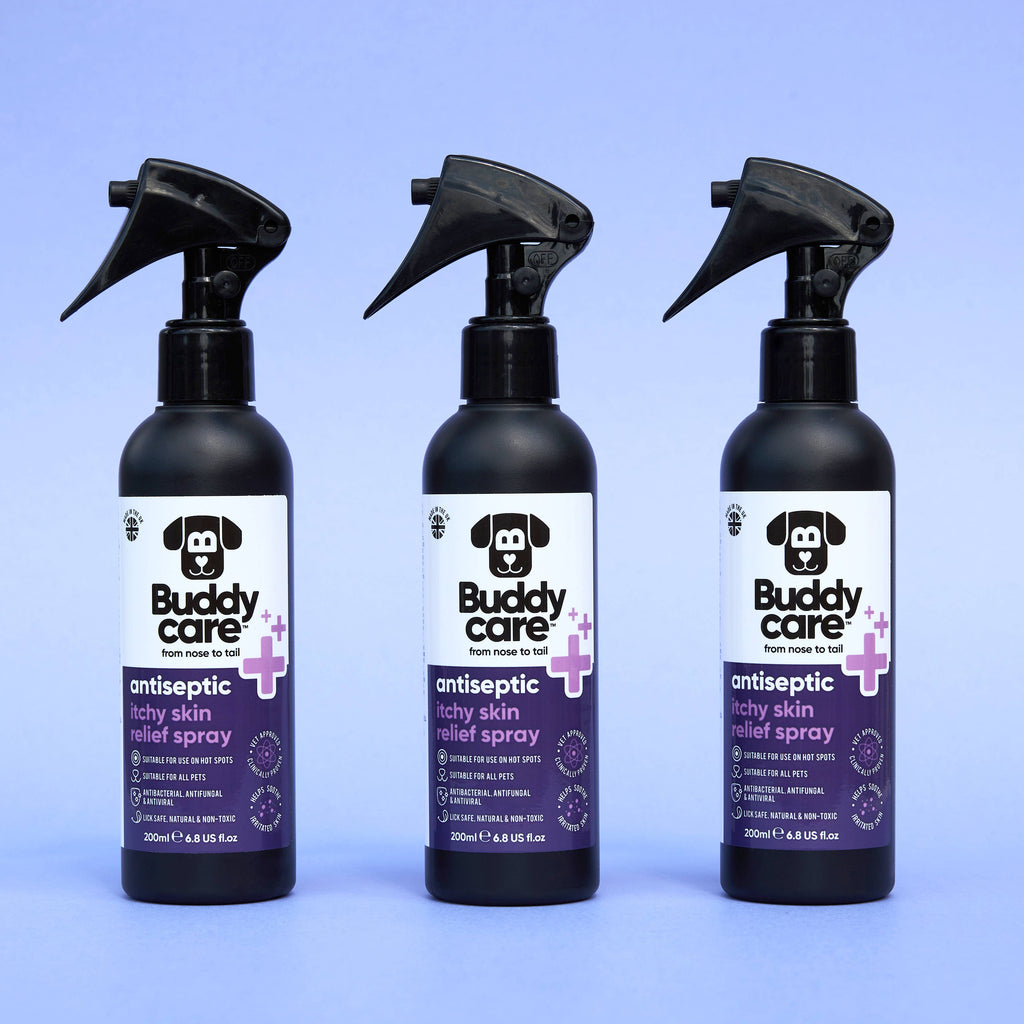 Pet Antiseptic Itchy Skin Relief Spray - 6.76 fl oz