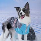 Ice Field Color Block Padding