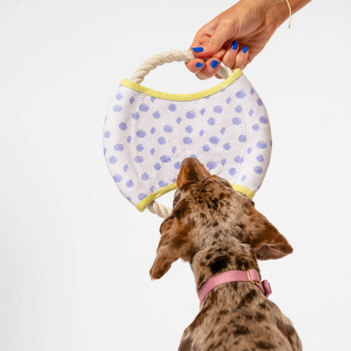 Awoo Dizzy Disc Canvas Dog Frisbee