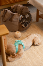 Puff Guard Dog Car Seat - Camel