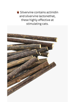 Silvervine Magic Broom