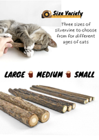 Silvervine Sticks