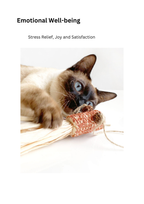 Silvervine Corn Goldfish