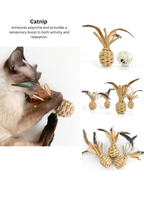 Woven Catnip Pineapple