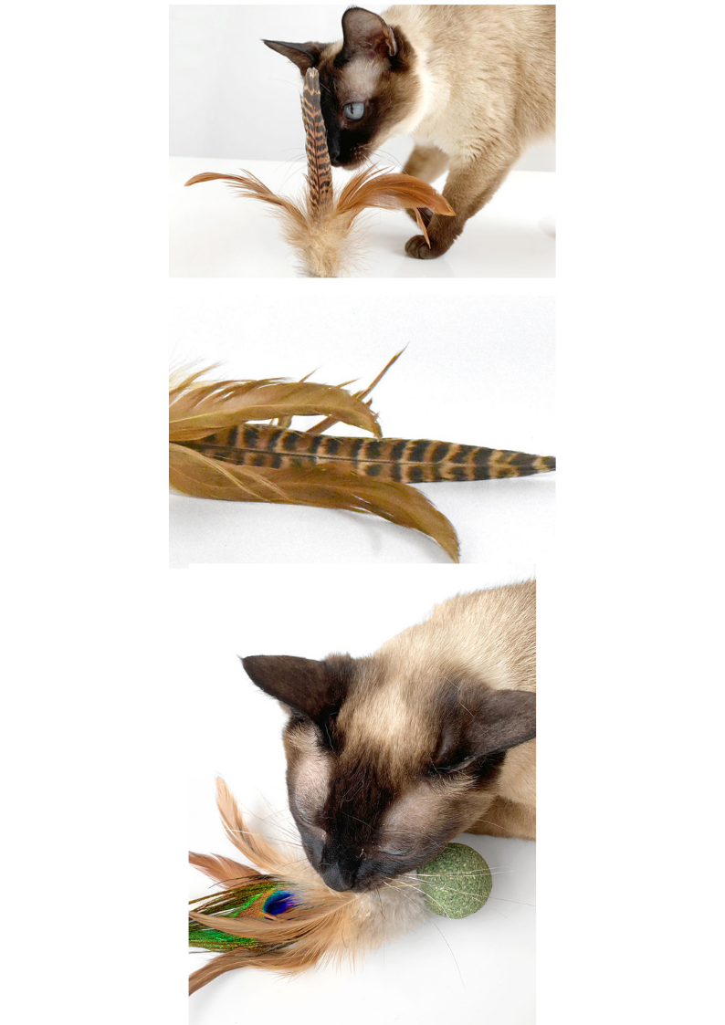 Silvervine / Catnip Birdie