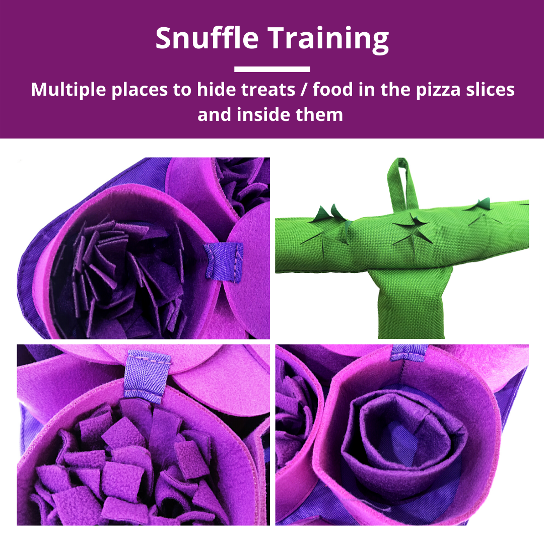 PawzNDogz Forbidden Grapes™ Snuffle Mat