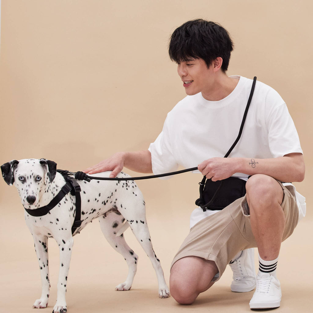 Rover Harness – Sand