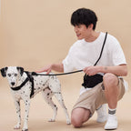 Rover Harness – Sand
