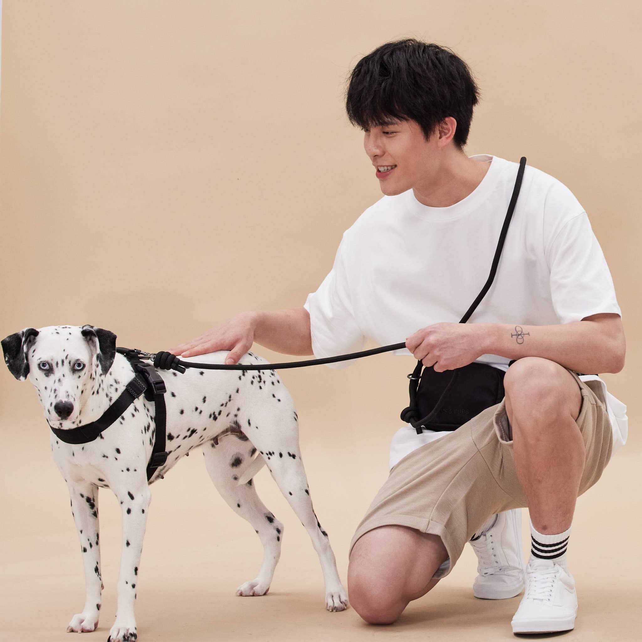 Rover Harness – Sand