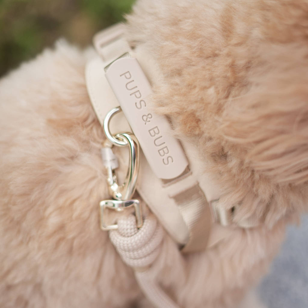 Rover Harness – Sand