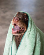 Two Tails Pet N' Dry Microfiber Pet Towel