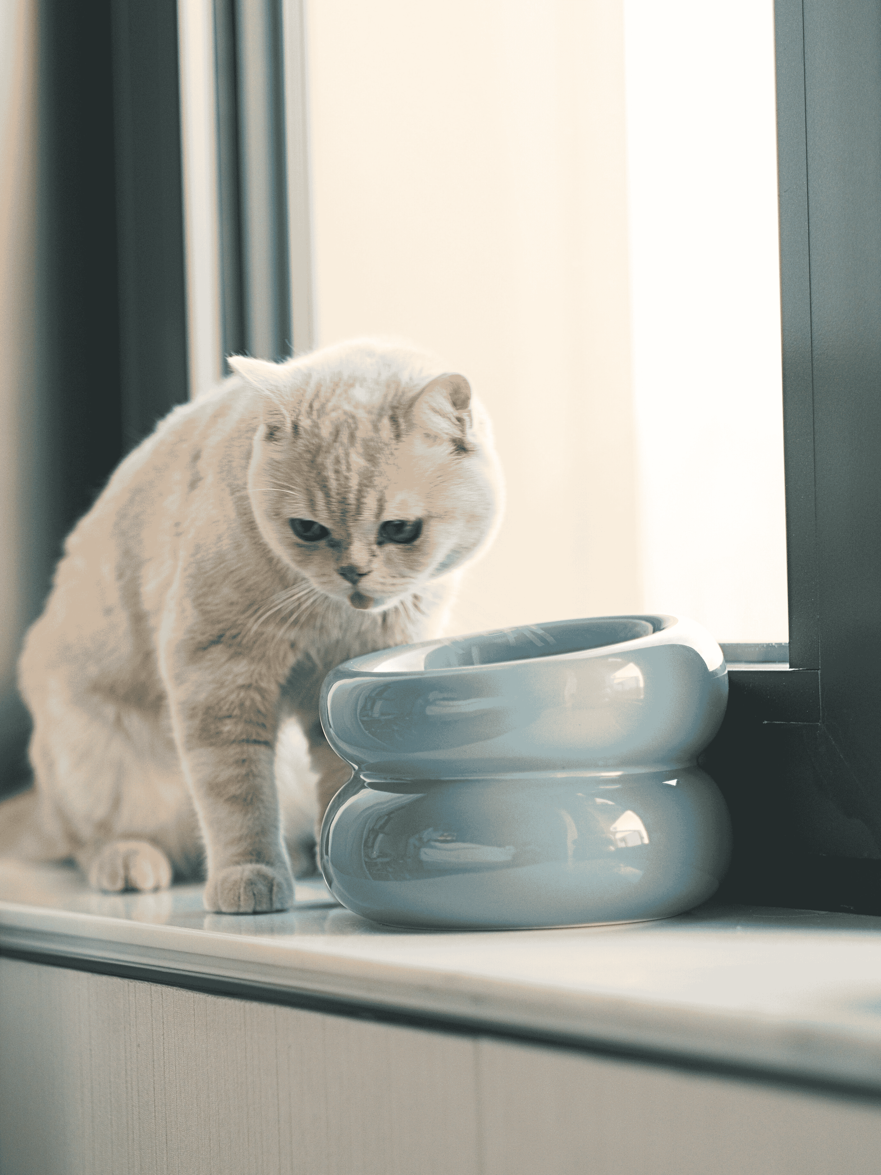PEHOM Soufflé Pet Bowl - Frozen Blue