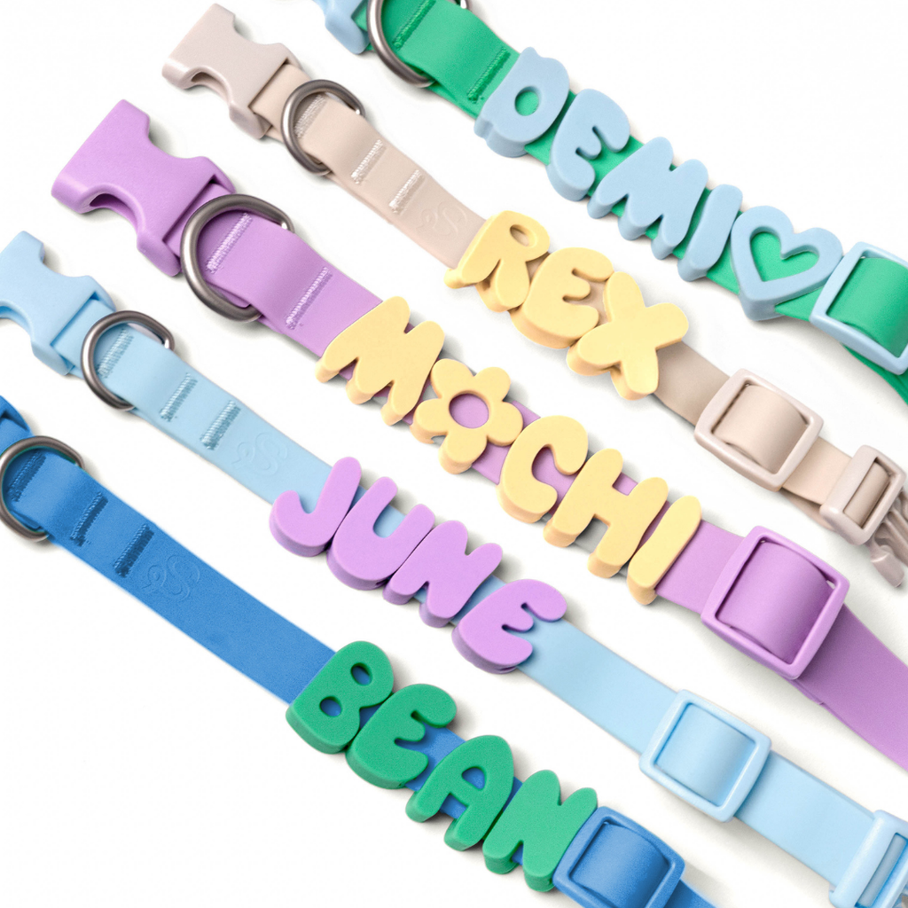 Springland Pets Silicone Dog Collar Charm