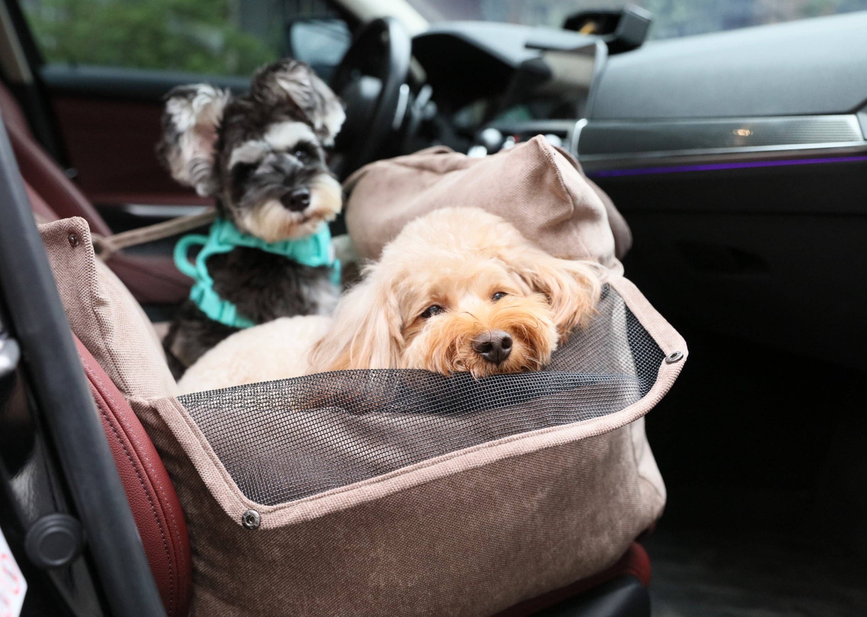 PEHOM Puff Guard Dog Car Seat – Pink