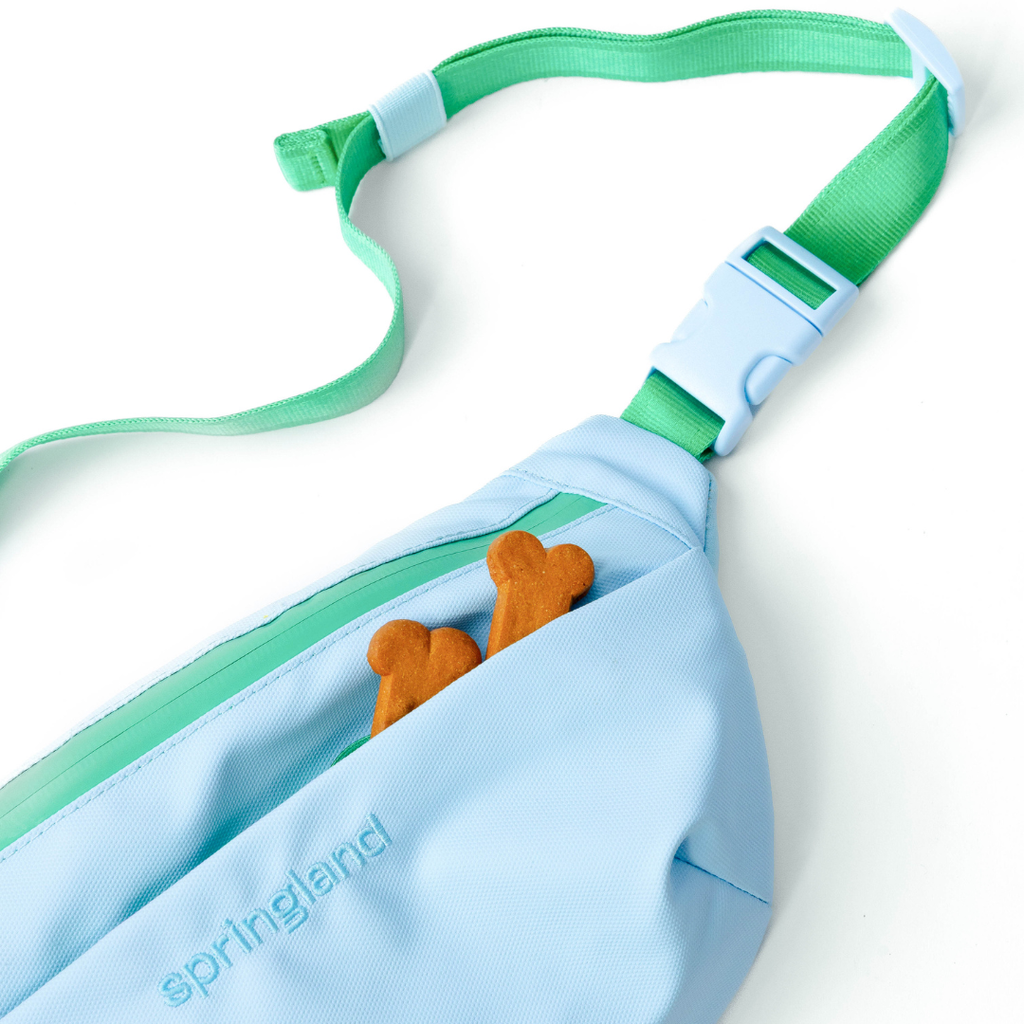 Hands-Free Dog Walking Bag WITH Leash